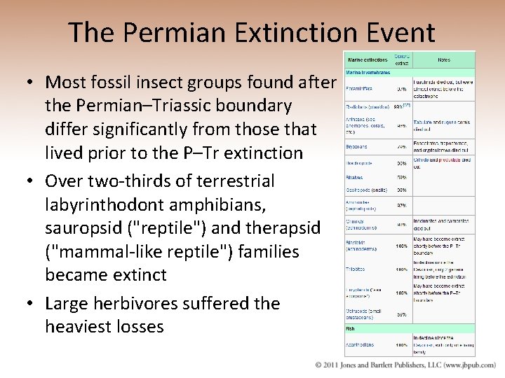 The Permian Extinction Event • Most fossil insect groups found after the Permian–Triassic boundary