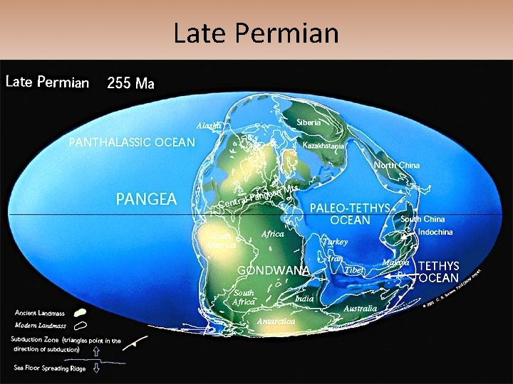 Late Permian 