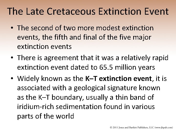 The Late Cretaceous Extinction Event • The second of two more modest extinction events,