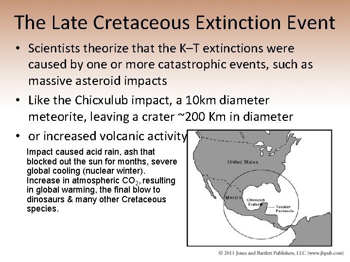 The Late Cretaceous Extinction Event • Scientists theorize that the K–T extinctions were caused