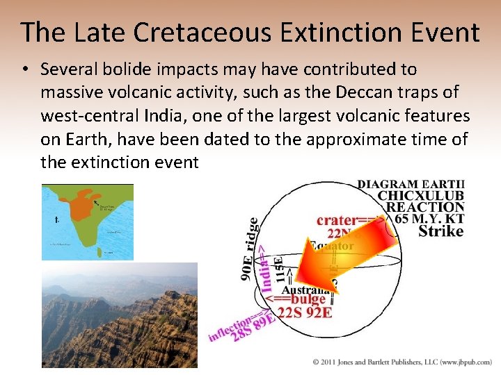 The Late Cretaceous Extinction Event • Several bolide impacts may have contributed to massive