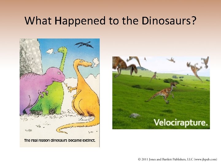 What Happened to the Dinosaurs? 