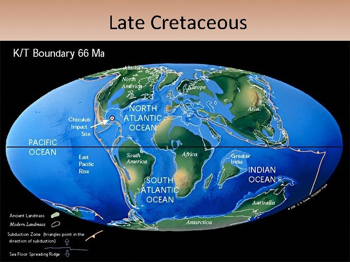 Late Cretaceous 