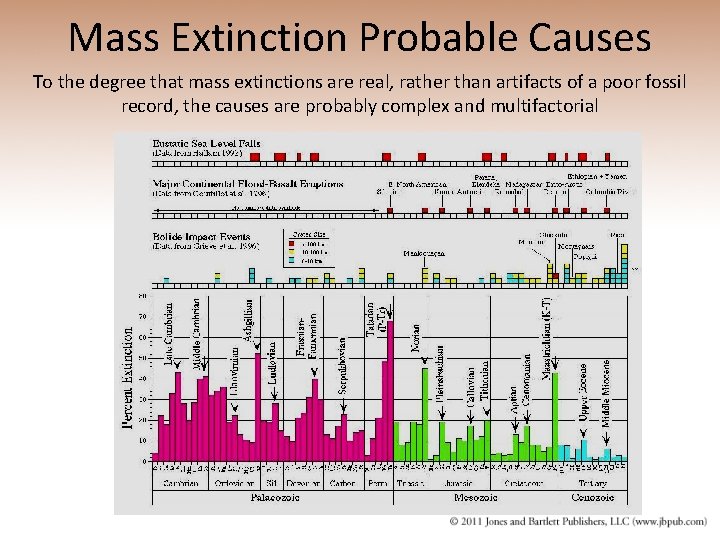Mass Extinction Probable Causes To the degree that mass extinctions are real, rather than