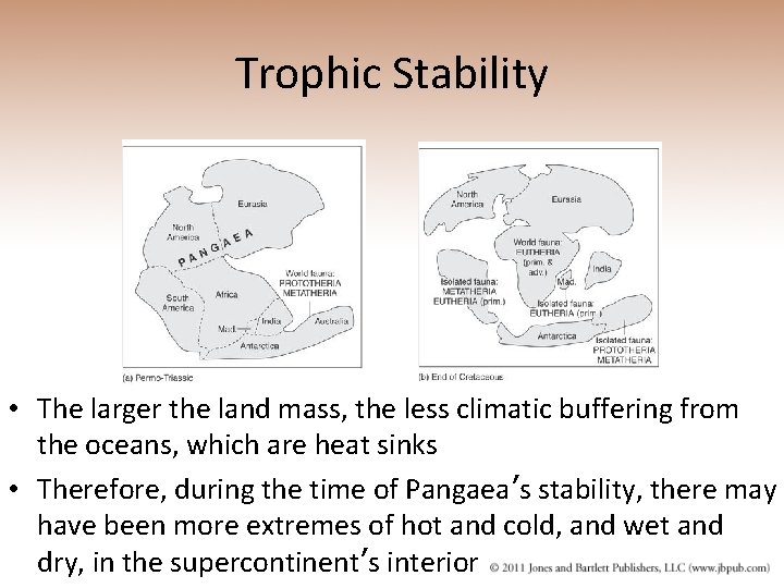 Trophic Stability • The larger the land mass, the less climatic buffering from the