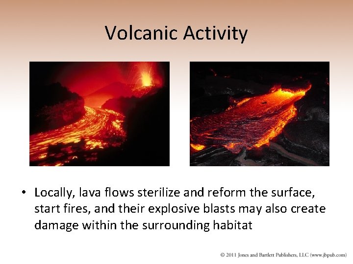 Volcanic Activity • Locally, lava flows sterilize and reform the surface, start fires, and