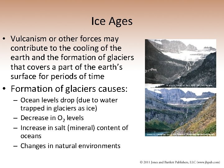 Ice Ages • Vulcanism or other forces may contribute to the cooling of the