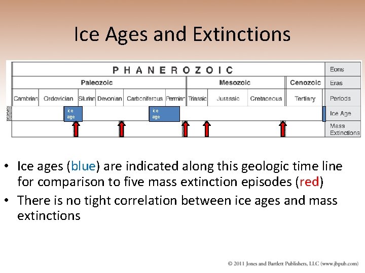 Ice Ages and Extinctions ice age • Ice ages (blue) are indicated along this
