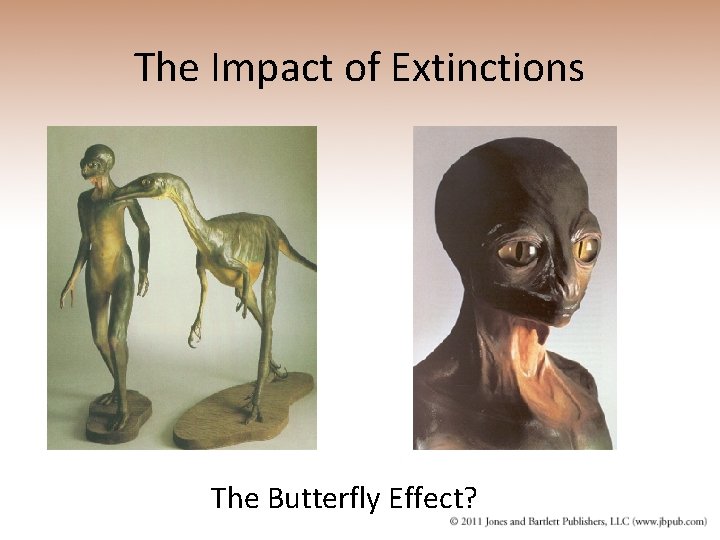 The Impact of Extinctions The Butterfly Effect? 