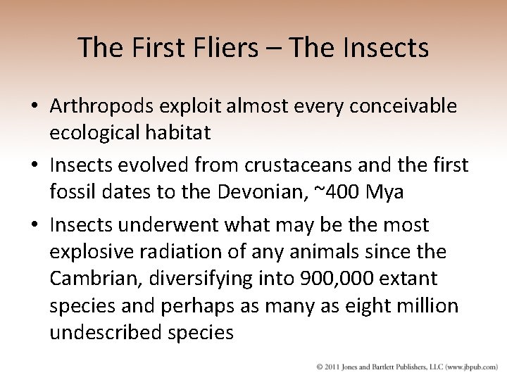 The First Fliers – The Insects • Arthropods exploit almost every conceivable ecological habitat
