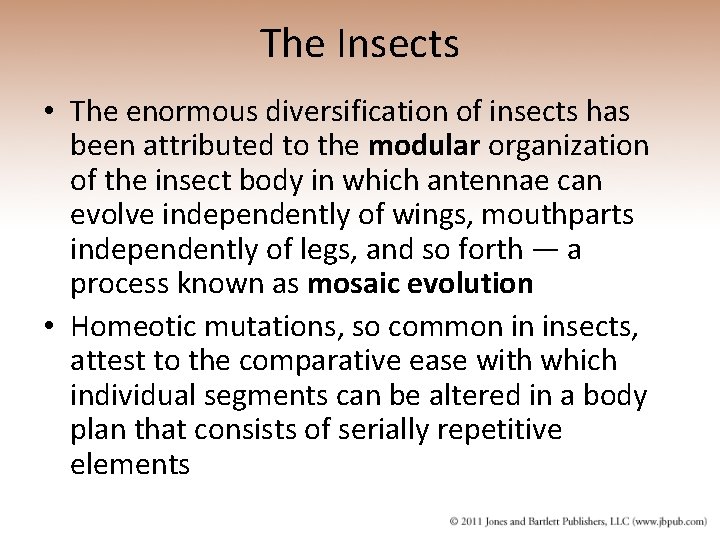 The Insects • The enormous diversification of insects has been attributed to the modular