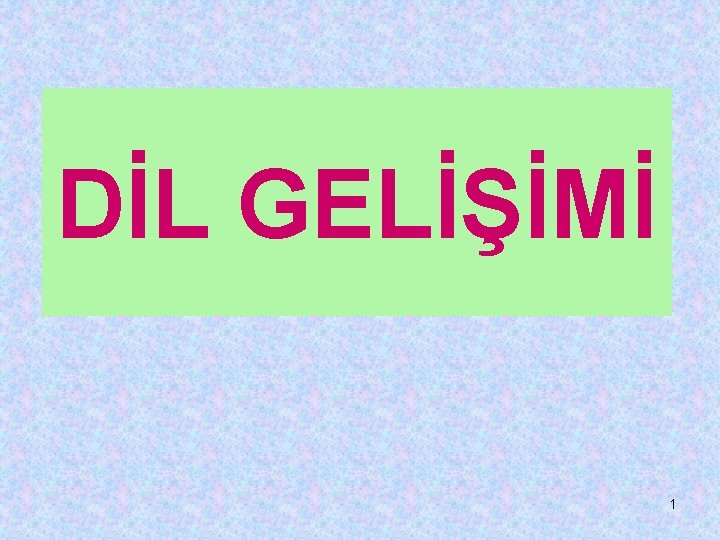 DİL GELİŞİMİ 1 