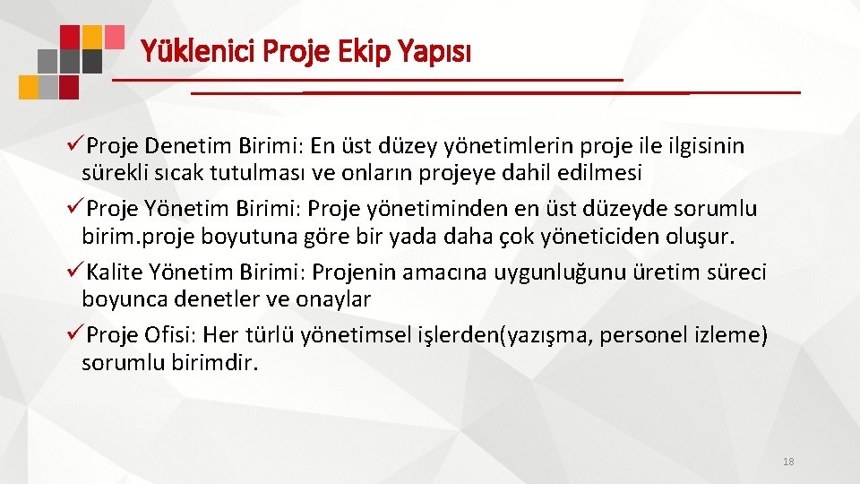 Yüklenici Proje Ekip Yapısı üProje Denetim Birimi: En üst düzey yönetimlerin proje ilgisinin sürekli