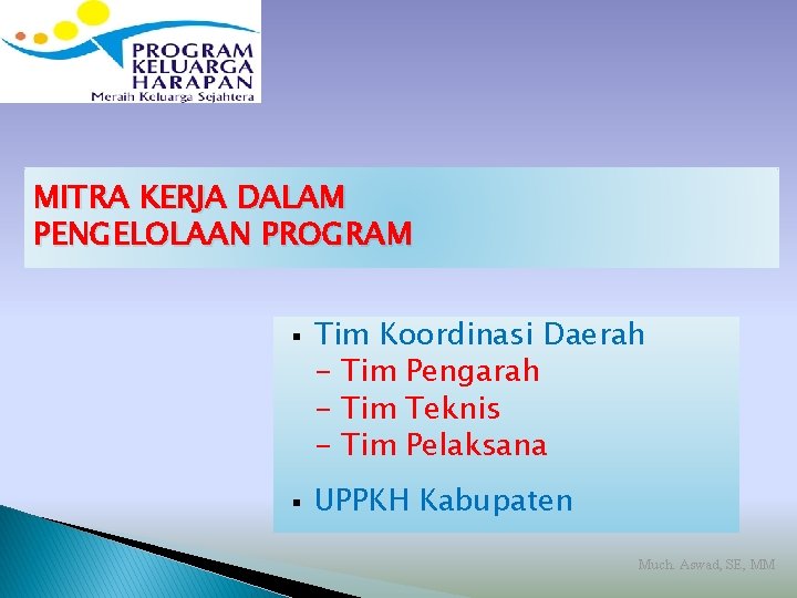 MITRA KERJA DALAM PENGELOLAAN PROGRAM § § Tim Koordinasi Daerah - Tim Pengarah -