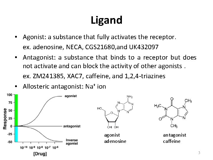 Ligand • Agonist: a substance that fully activates the receptor. ex. adenosine, NECA, CGS