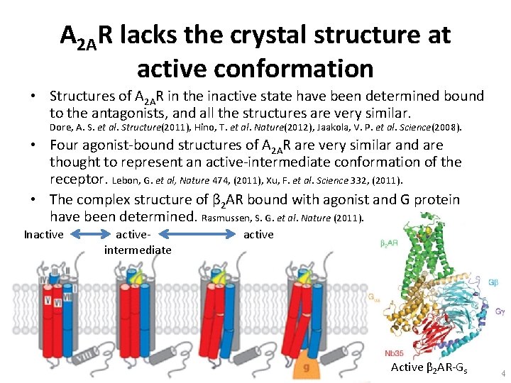 A 2 AR lacks the crystal structure at active conformation • Structures of A