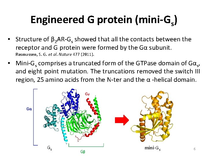 Engineered G protein (mini-Gs) • Structure of β 2 AR-Gs showed that all the