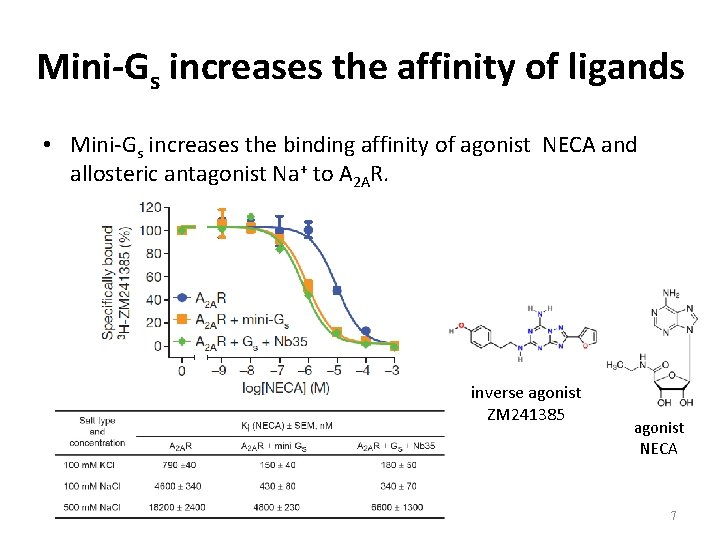 Mini-Gs increases the affinity of ligands • Mini-Gs increases the binding affinity of agonist