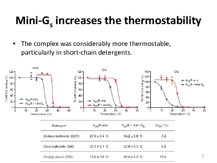 Mini-Gs increases thermostability • The complex was considerably more thermostable, particularly in short-chain detergents.
