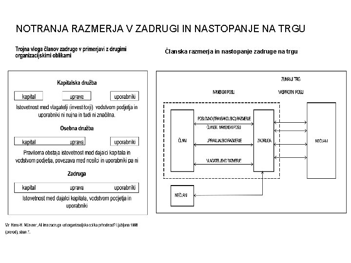 NOTRANJA RAZMERJA V ZADRUGI IN NASTOPANJE NA TRGU Članska razmerja in nastopanje zadruge na