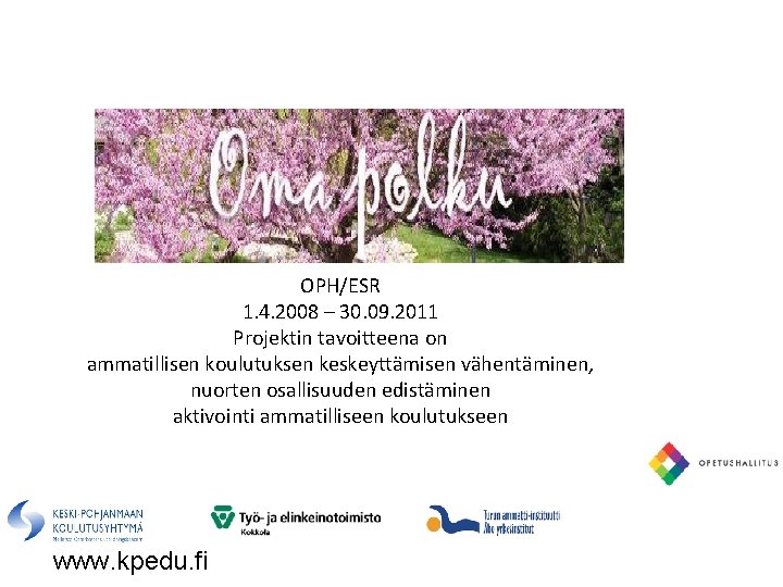 OPH/ESR 1. 4. 2008 – 30. 09. 2011 Projektin tavoitteena on ammatillisen koulutuksen keskeyttämisen