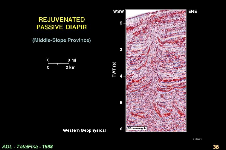 Western Geophysical AGL - Total. Fina - 1998 36 