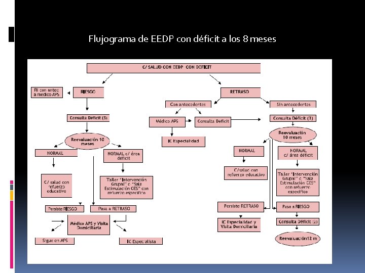 Flujograma de EEDP con déficit a los 8 meses 