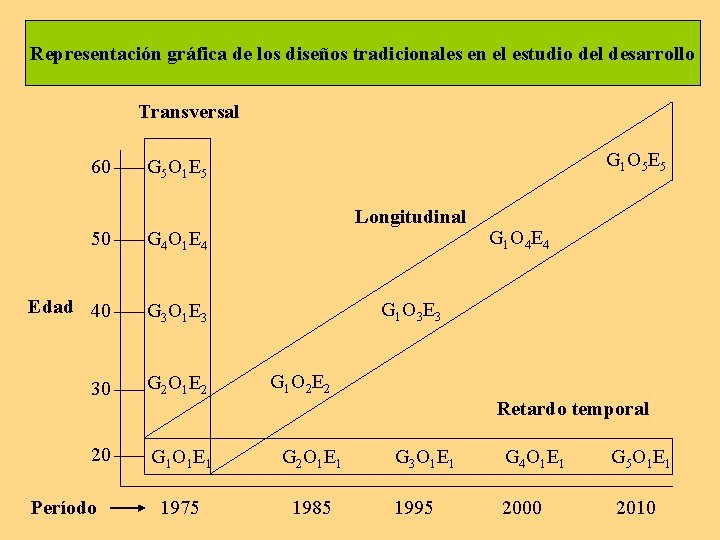 Representación gráfica de los diseños tradicionales en el estudio del desarrollo Transversal 60 G