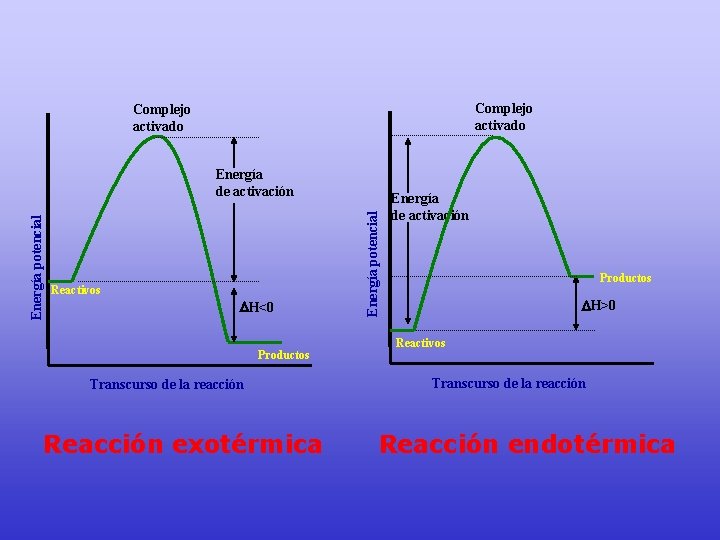 Complejo activado Reactivos H<0 Productos Transcurso de la reacción Reacción exotérmica Energía potencial Energía