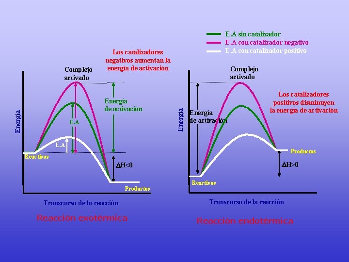 Los catalizadores negativos aumentan la energía de activación Energía de activación E. A Complejo