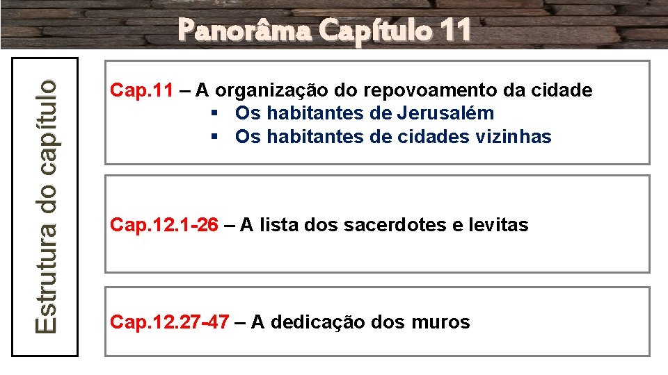 Estrutura do capítulo Panorâma Capítulo 11 Cap. 11 – A organização do repovoamento da Estrutura do capítulo Panorâma Capítulo 11 Cap. 11 – A organização do repovoamento da