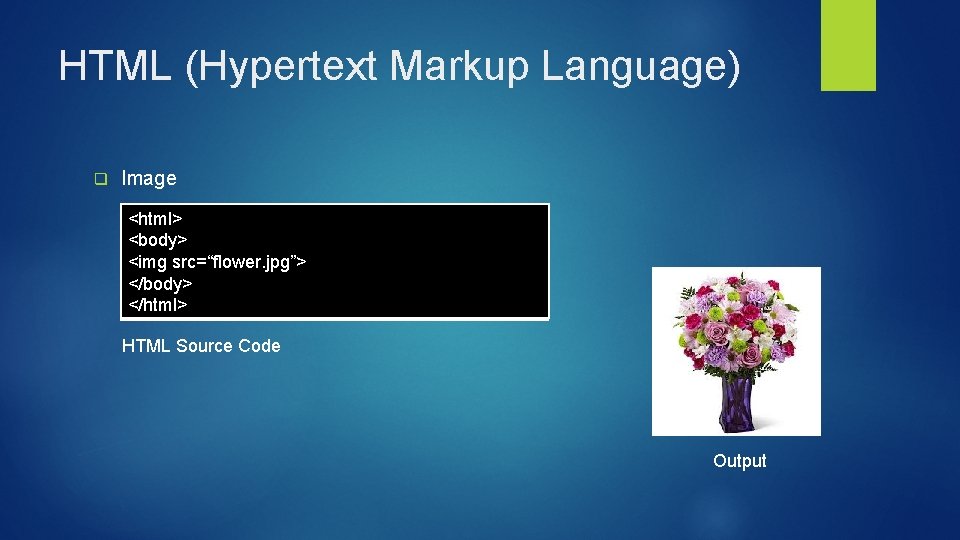 HTML (Hypertext Markup Language) q Image <html> <body> <img src=“flower. jpg”> </body> </html> HTML