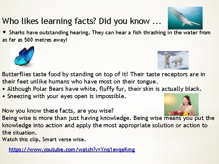 Who likes learning facts? Did you know. . . • Sharks have outstanding hearing.