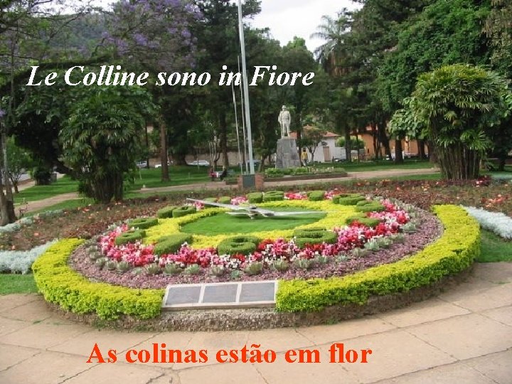 Le Colline sono in Fiore As colinas estão em flor 