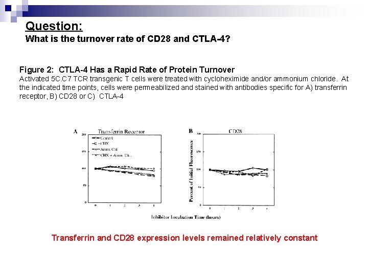 Question: What is the turnover rate of CD 28 and CTLA-4? Figure 2: CTLA-4