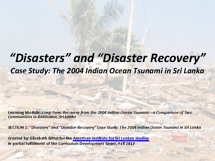 “Disasters” and “Disaster Recovery” Case Study: The 2004 Indian Ocean Tsunami in Sri Lanka