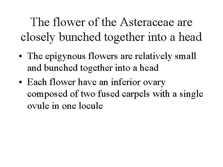 The flower of the Asteraceae are closely bunched together into a head • The