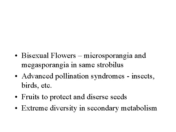  • Bisexual Flowers – microsporangia and megasporangia in same strobilus • Advanced pollination