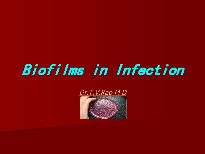 Biofilms in Infection Dr. T. V. Rao M D 