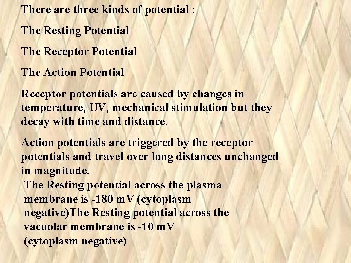 There are three kinds of potential : The Resting Potential The Receptor Potential The There are three kinds of potential : The Resting Potential The Receptor Potential The