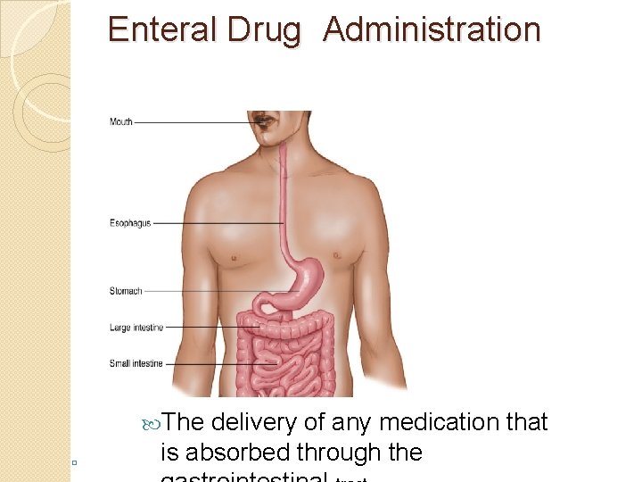 Enteral Drug Administration The � delivery of any medication that is absorbed through the