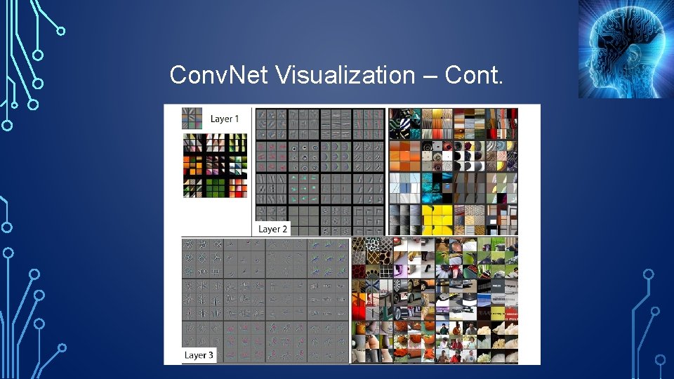 Conv. Net Visualization – Cont. 