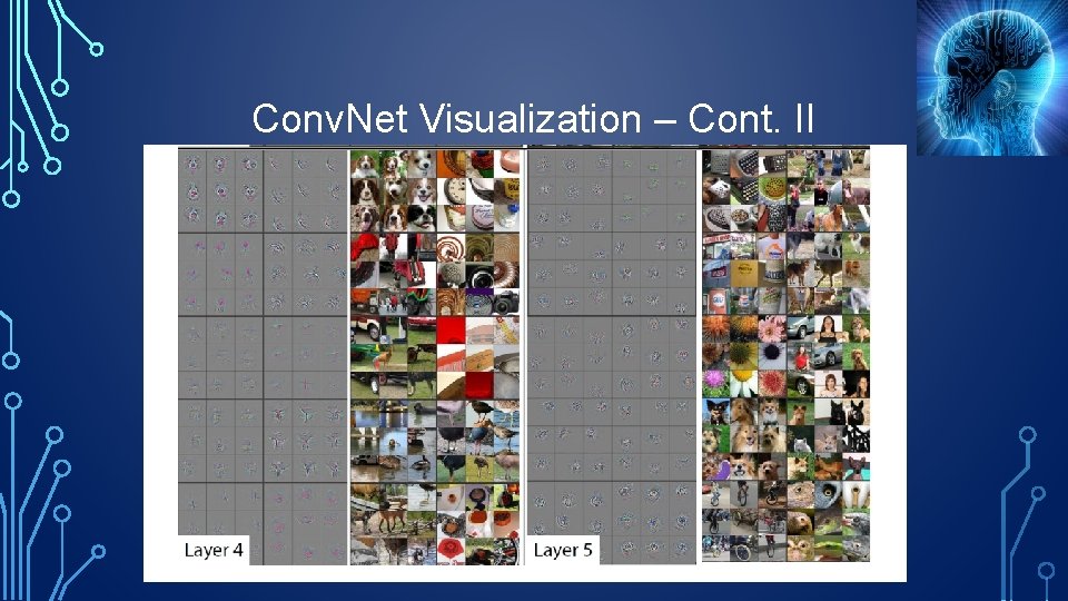 Conv. Net Visualization – Cont. II 