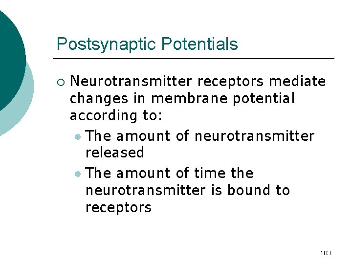 Postsynaptic Potentials ¡ Neurotransmitter receptors mediate changes in membrane potential according to: l The