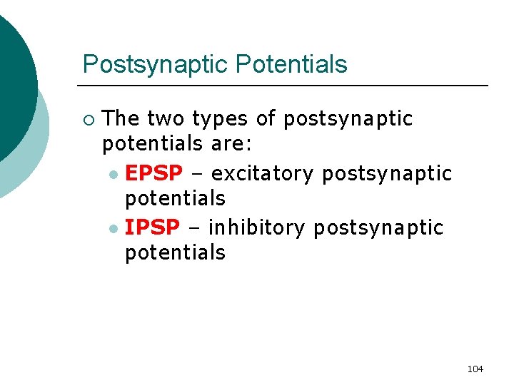 Postsynaptic Potentials ¡ The two types of postsynaptic potentials are: l EPSP – excitatory