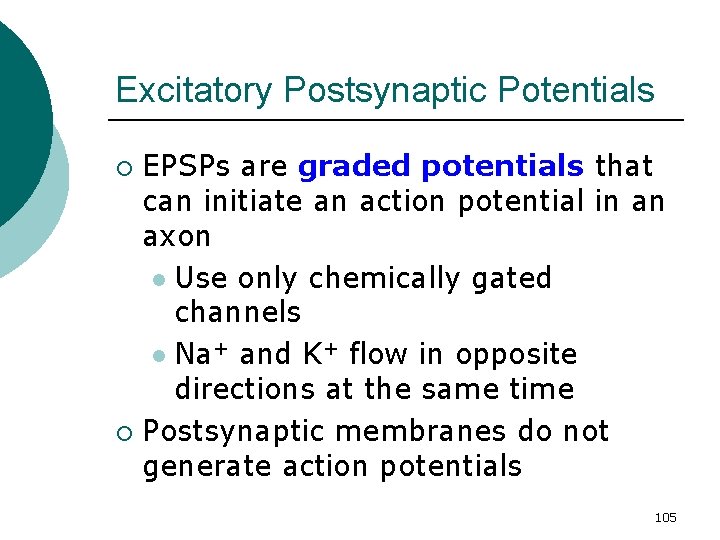 Excitatory Postsynaptic Potentials EPSPs are graded potentials that can initiate an action potential in