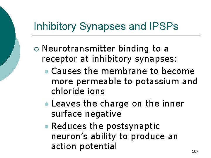 Inhibitory Synapses and IPSPs ¡ Neurotransmitter binding to a receptor at inhibitory synapses: l