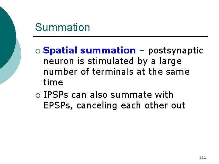 Summation Spatial summation – postsynaptic neuron is stimulated by a large number of terminals