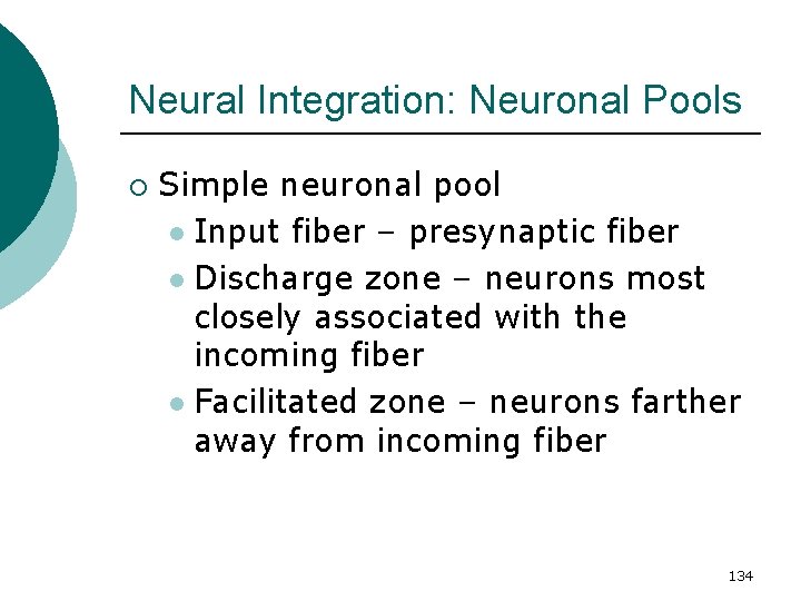 Neural Integration: Neuronal Pools ¡ Simple neuronal pool l Input fiber – presynaptic fiber