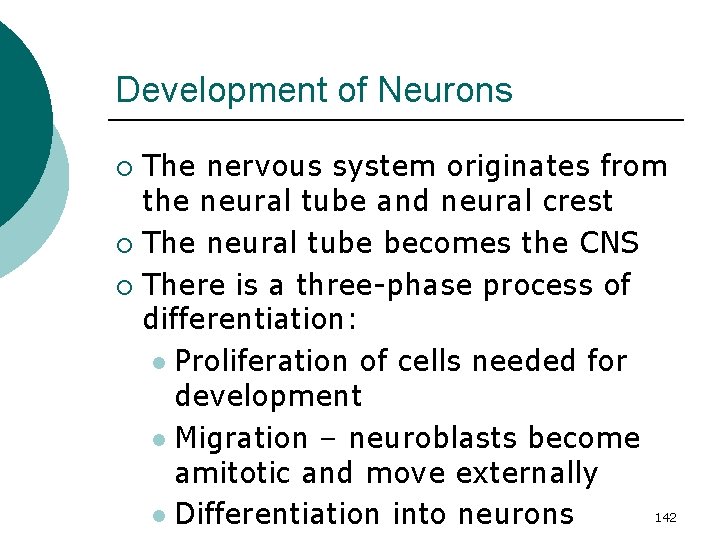 Development of Neurons The nervous system originates from the neural tube and neural crest